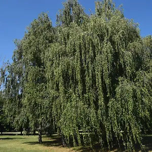 Appartamento Al Salice Tranquillità Nel Verde Via Amendola 24, Busto Arsizio